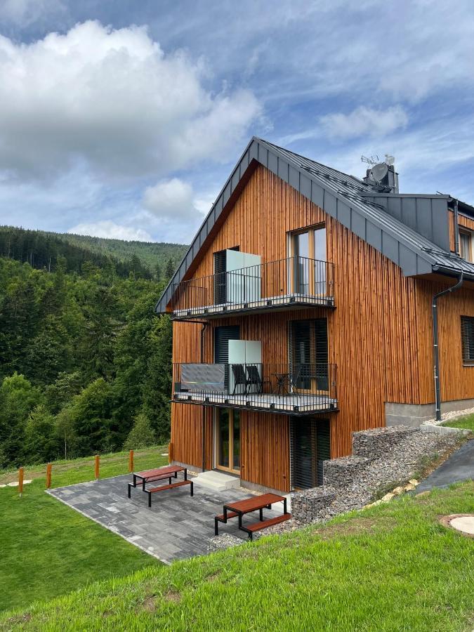 Apartman - Dolni Morava - "Sedmicka" Pro 2 Az 6 Osob Dolní Morava Exterior foto